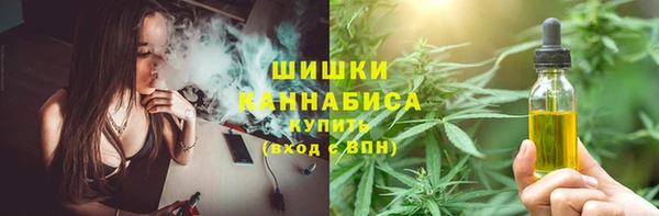 PSILOCYBIN Балахна