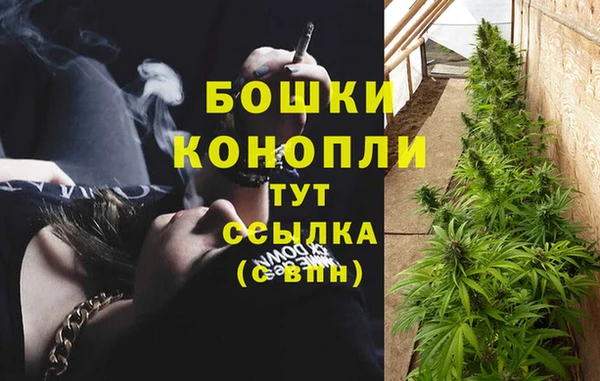 PSILOCYBIN Балахна
