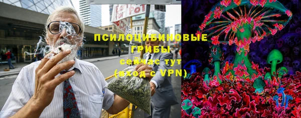 PSILOCYBIN Балахна