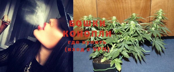 PSILOCYBIN Балахна