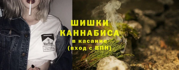 ешки Гусев