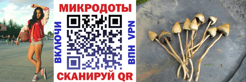 Псилоцибиновые грибы Magic Shrooms  Ногинск 