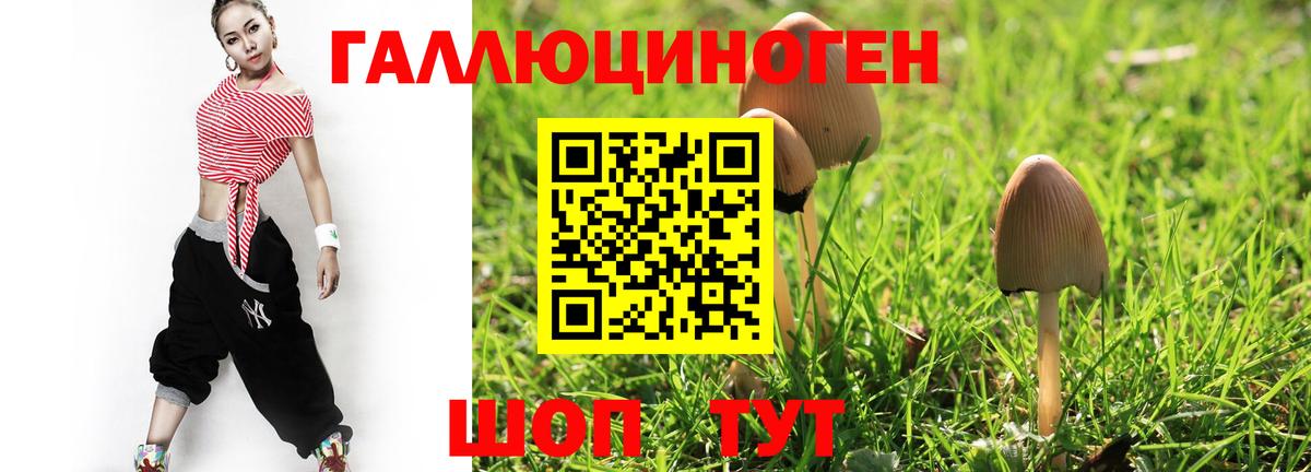 Галлюциногенные грибы Psilocybine cubensis Ногинск