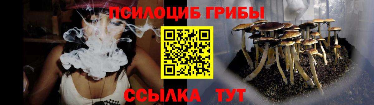 Галлюциногенные грибы мухоморы  Вход с VPN  Ногинск  сколько стоит  Галлюциногенные грибы Psilocybine cubensis 
